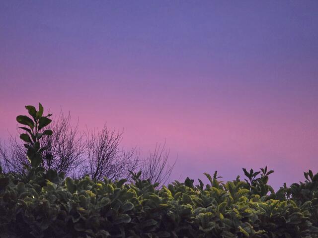 Foto: Heidrun Rosenberger