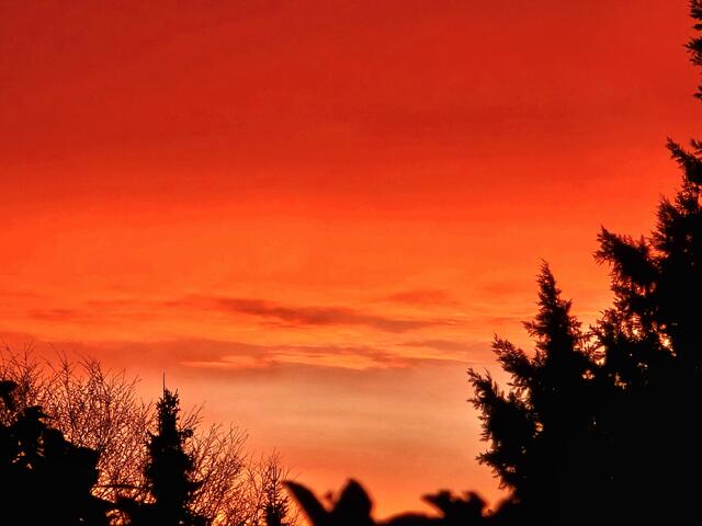 Foto: Heidrun Rosenberger