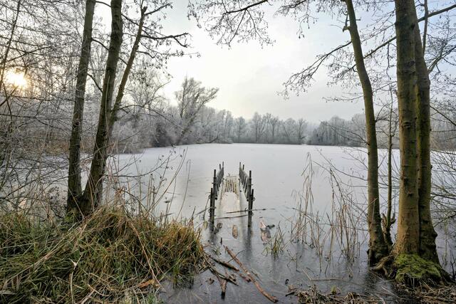 Foto: Ulrich Seidel