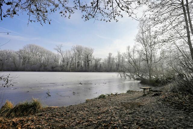 Foto: Ulrich Seidel