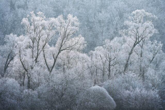 Foto: Ulrich Seidel