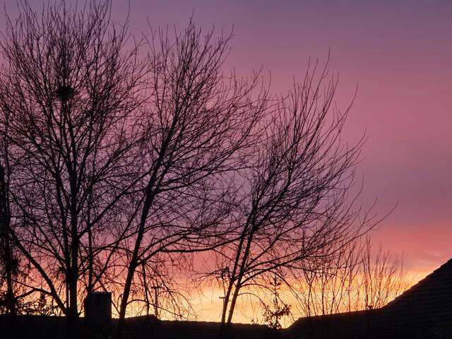 Foto: Heidrun Rosenberger