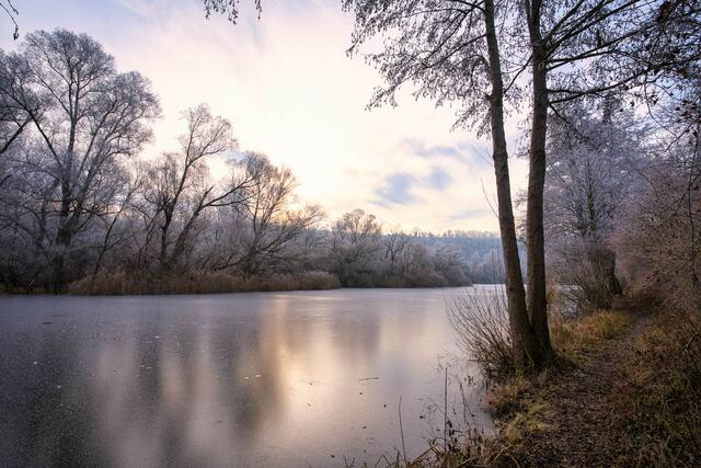 Foto: Ulrich Seidel