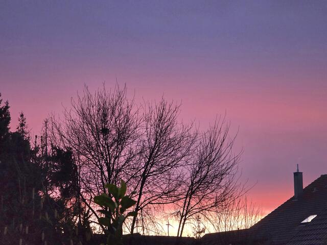 Foto: Heidrun Rosenberger