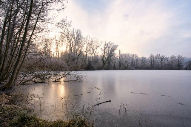 Foto: Ulrich Seidel