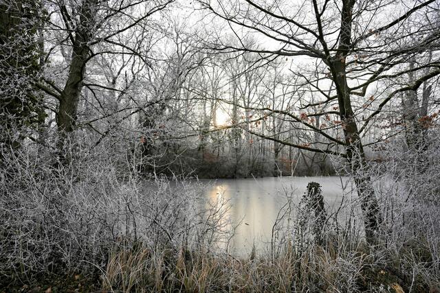 Foto: Ulrich Seidel