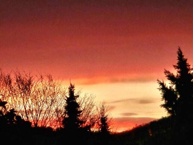 Foto: Heidrun Rosenberger