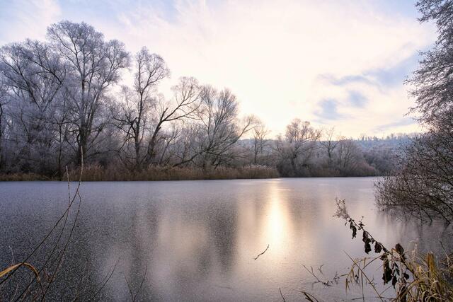 Foto: Ulrich Seidel