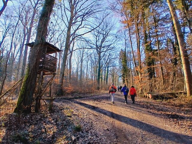 Lange Schatten der Bäume und dazwischen herrlicher Sonnenschein.   | Foto: sigischlottke