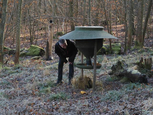 Da wird eine ungewöhnliche Futterstelle begutachtet.   | Foto: Rainer Goeser 