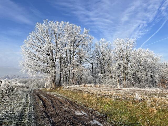 Foto: Martin Perrot