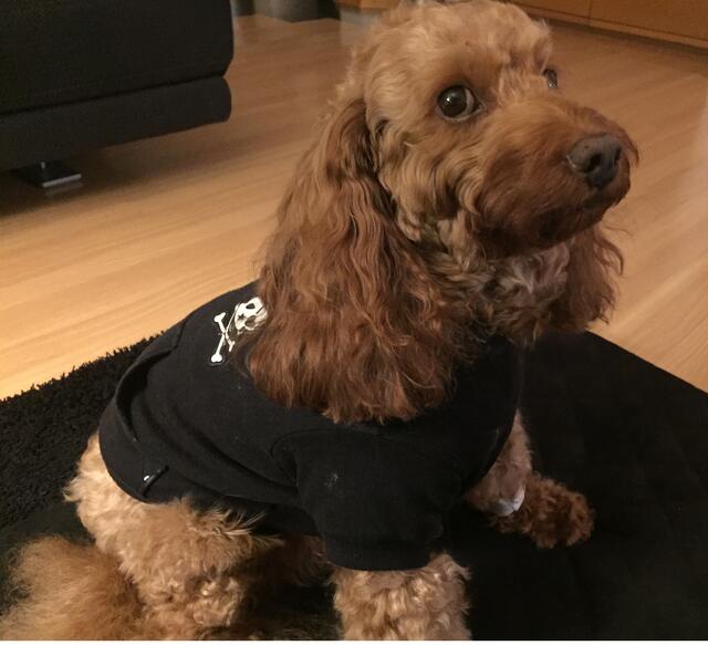 Die Piratin Emilie...  | Foto: Heide Böllinger