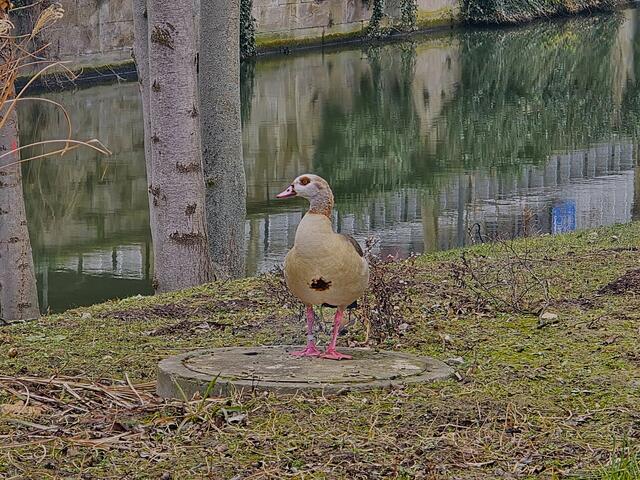 hier bleiben die Füsse warm - tja, gewusst wie !!! | Foto: Heidrun Rosenberger