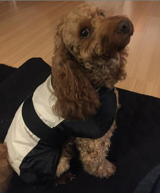 Ein Wiedersehen mit Emilie.  | Foto: Heide Böllinger