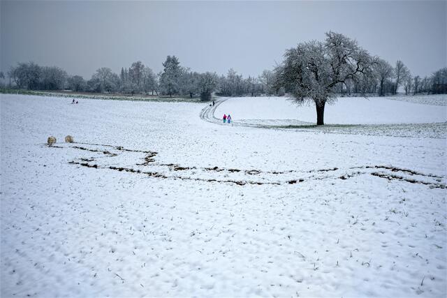 Foto: Petra Wagner