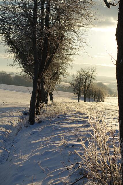 Morgenstund hat Gold im Mund...
(Dieses Bild entstand in einem anderen Winter mit "echtem" Schnee...) | Foto: J. Ditting