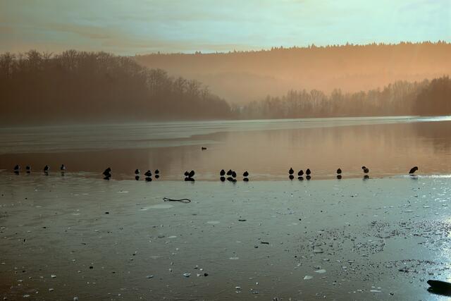 Foto: Petra Wagner