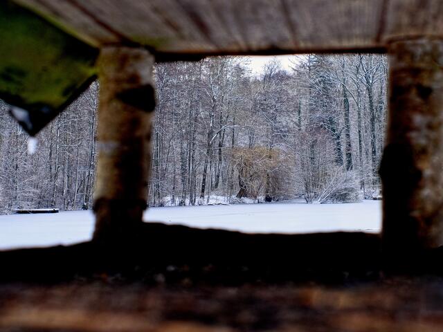 Foto: Petra Wagner