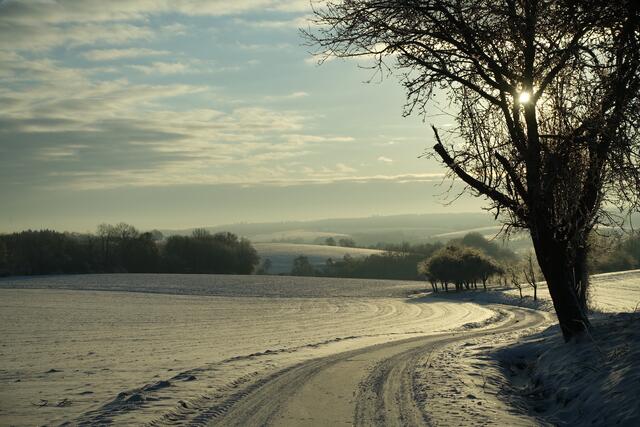 Über dem Jagsttal bei Berlichingen
(Auch dieses Bild entstand 2021 bei "richtigem" Schnee, also kein Raureif :-) ) | Foto: J. Ditting