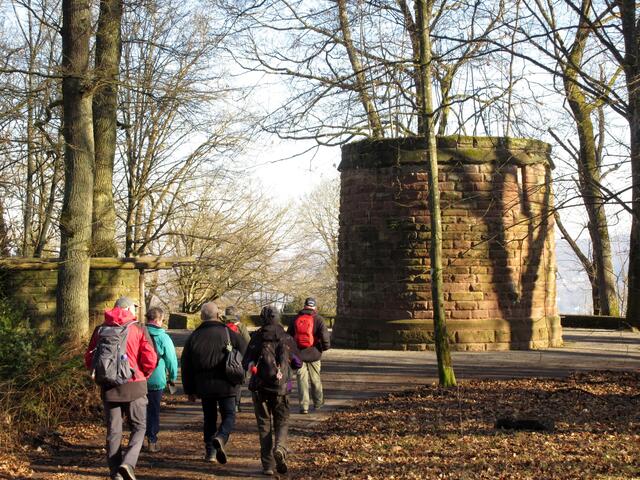 Die Ruine des Hasenbergturms | Foto: WandernGabyErich