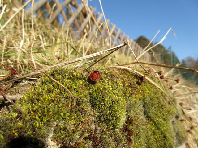 Natur | Foto: WandernGabyErich