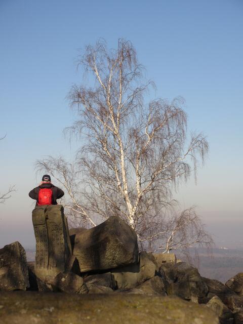 Die Birken geben diesem Hügel seinen Namen | Foto: WandernGabyErich