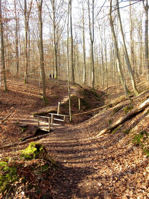 Verlängerung des Blauen Weges, direkt in den Wald | Foto: WandernGabyErich
