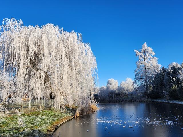 Eiszeit im Kurpark Waldenburg | Foto: Günter Wagner