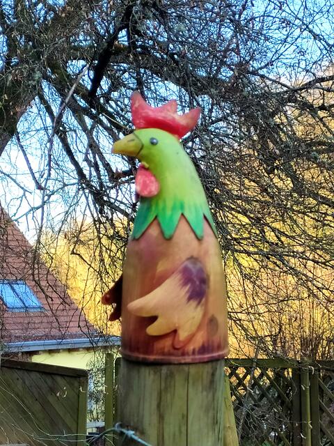 Solch hübsche Zaungucker - wo gucken sie denn über den Zaun? | Foto: sigischlottke