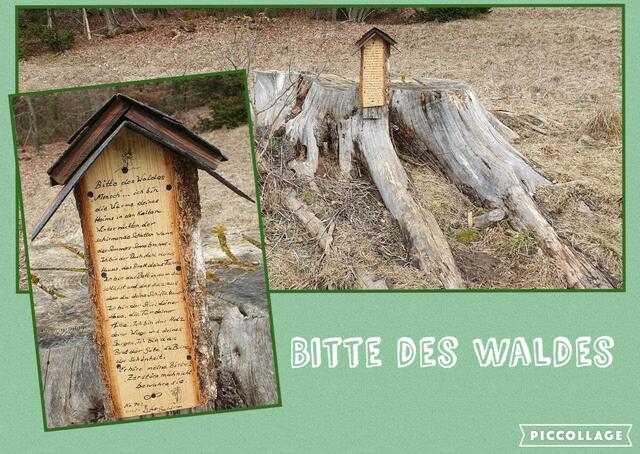 Bitte des Waldes! | Foto: privat Sibylle Tröber