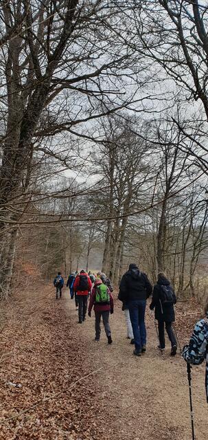 ... durch den Wald ... | Foto: privat Sibylle Tröber