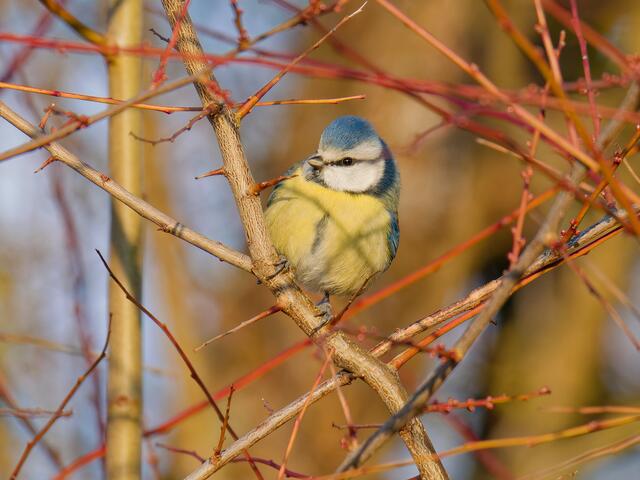Foto: Eigenes Bild TB