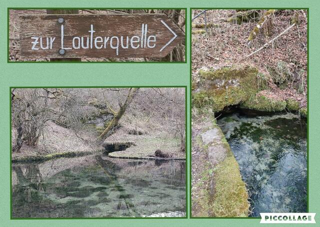 zum Schluss noch ein Blick auf die Lauterquelle | Foto: privat Sibylle Tröber