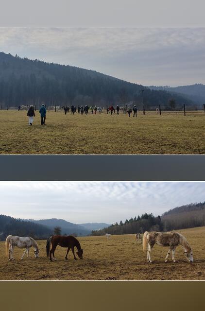 in "fast freier Wildbahn" | Foto: privat Sibylle Tröber