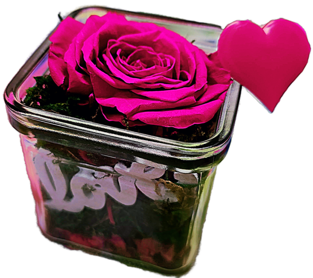 Foto: Heidrun Rosenberger