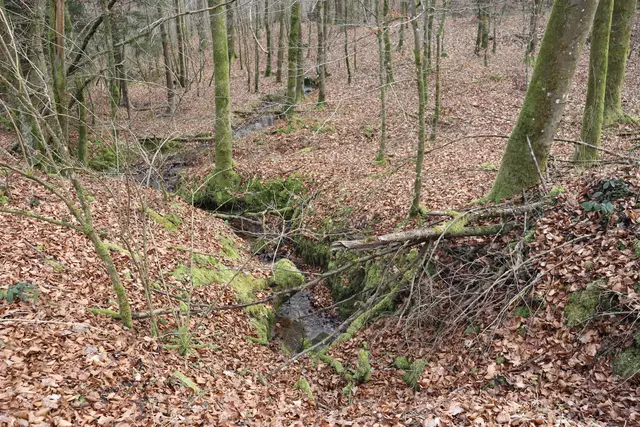 Foto: Marga Specht