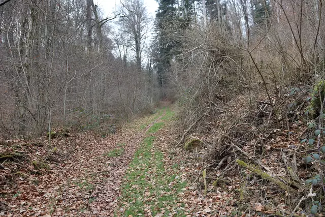 Foto: Marga Specht