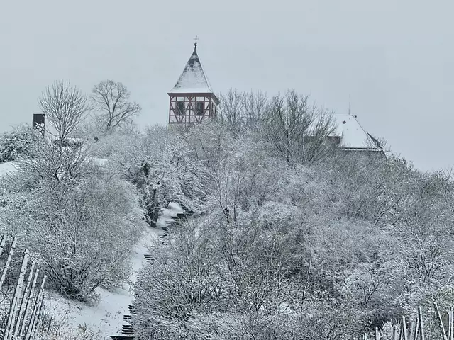Foto: Helga El-Kothany 