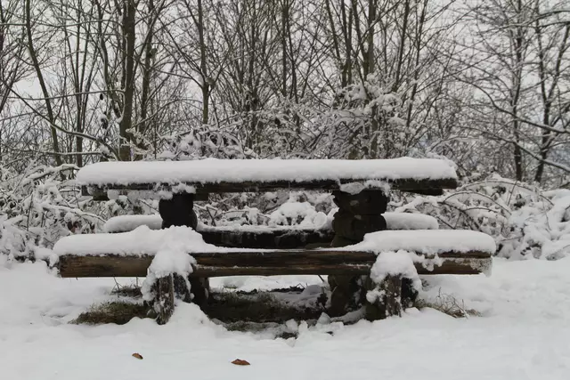 Schneewanderung im Schwäbisch Haller Stadtwald | Foto: Ralf Röser