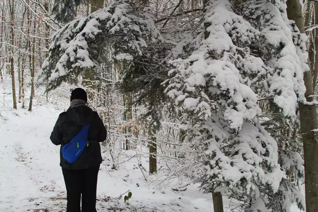 Schneewanderung im Schwäbisch Haller Stadtwald
Schatzi😍😍😍 | Foto: Ralf Röser