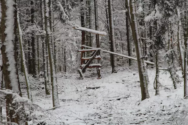 Schneewanderung im Schwäbisch Haller Stadtwald | Foto: Ralf Röser