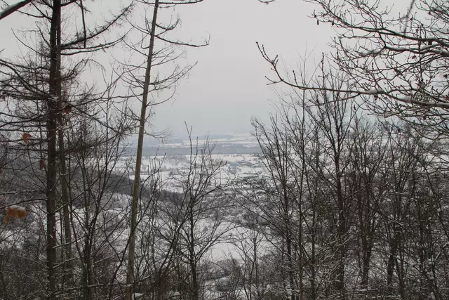 Schneewanderung im Schwäbisch Haller Stadtwald | Foto: Ralf Röser
