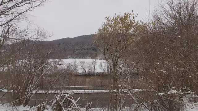 Bissle raus❄️😍❄️ | Foto: Ralf Röser