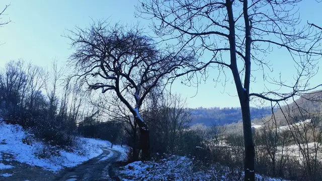 Bissle raus❄️❄️🌞🌞😍😍🏚️🏚️ | Foto: Ralf Röser