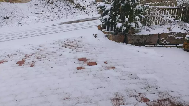 Bissle raus❄️😍❄️ | Foto: Ralf Röser