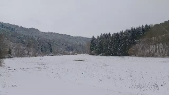 Bissle raus❄️😍❄️ | Foto: Ralf Röser