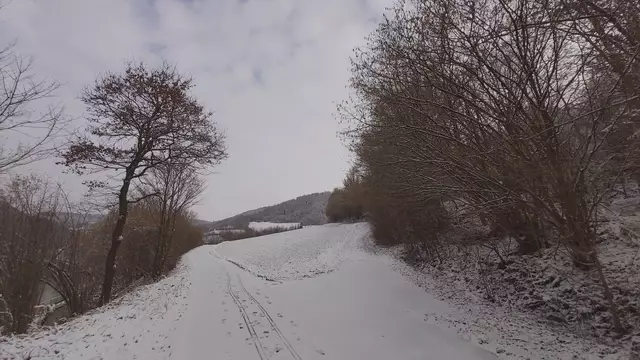 Bissle raus❄️😍❄️ | Foto: Ralf Röser