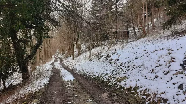 Bissle raus❄️❄️🌞🌞😍😍🏚️🏚️ | Foto: Ralf Röser