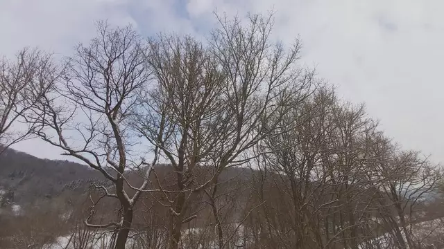 Bissle raus❄️😍❄️ | Foto: Ralf Röser