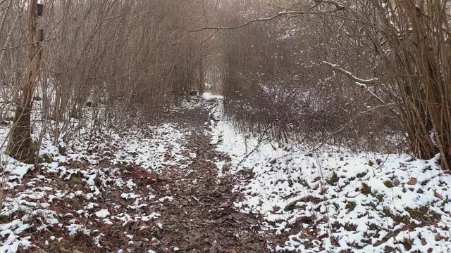 Bissle raus❄️❄️🌞🌞😍😍🏚️🏚️ | Foto: Ralf Röser